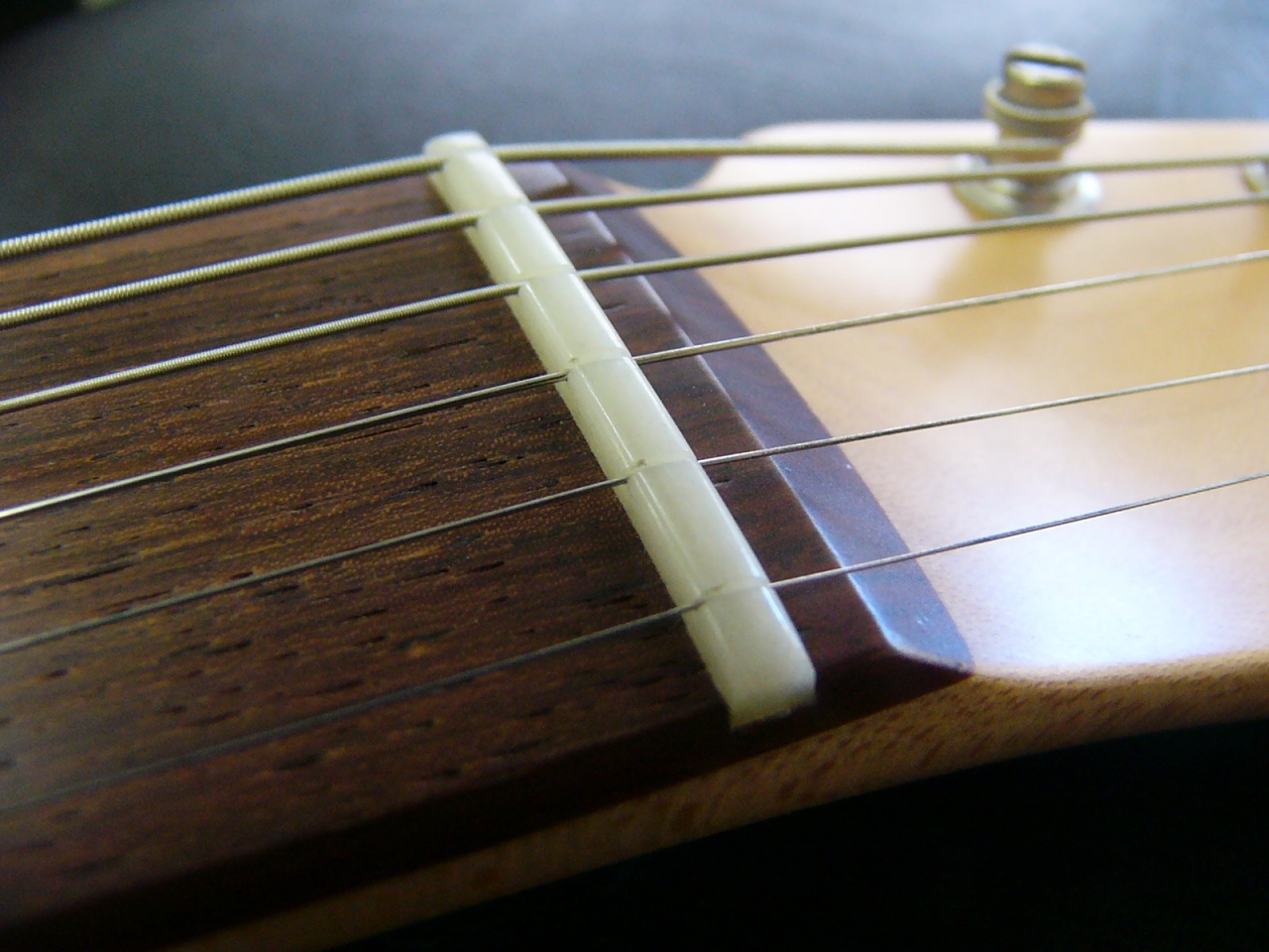 ビンテージ・ボーン・ナット Guitar Lab